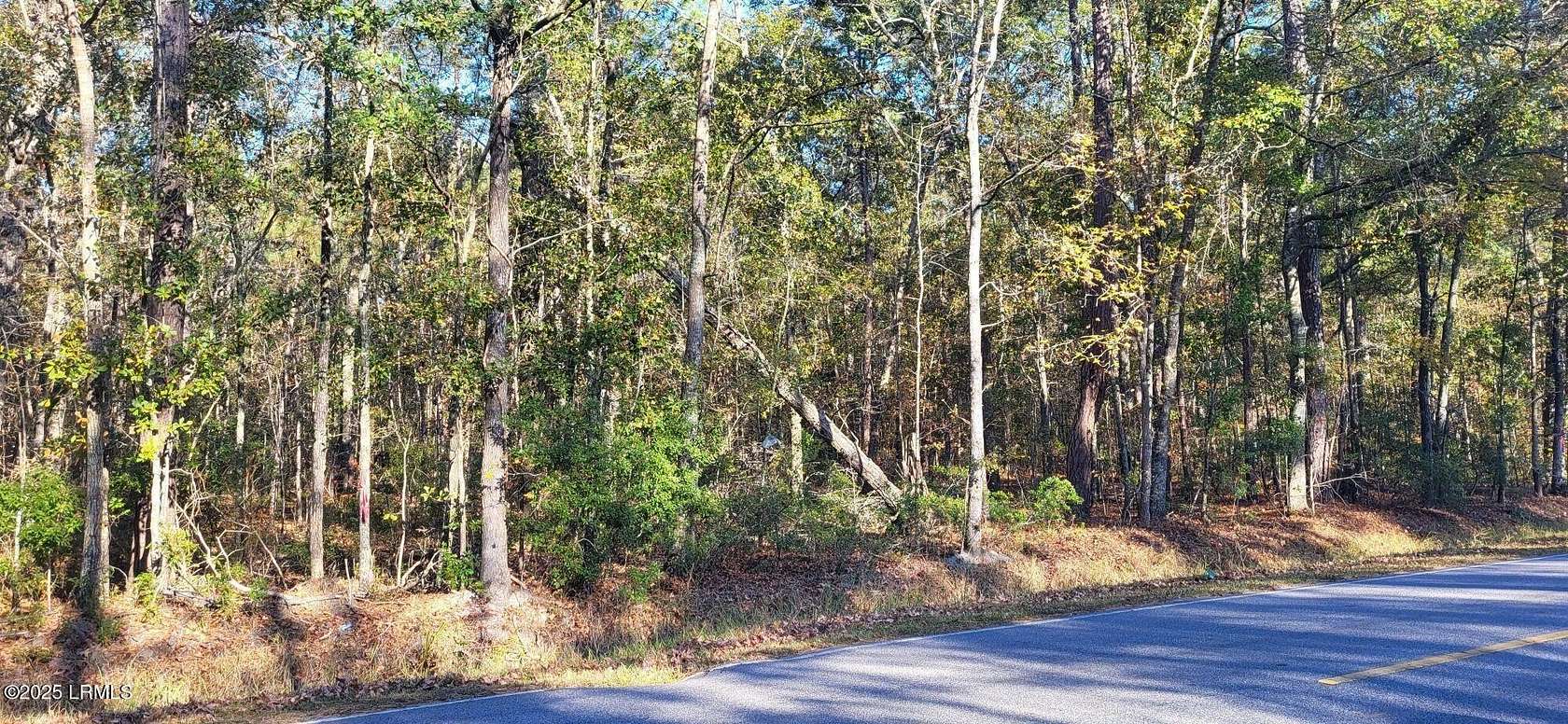 0.33 Acres of Residential Land for Sale in Hampton, South Carolina