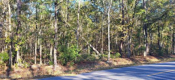 0.33 Acres of Residential Land for Sale in Hampton, South Carolina