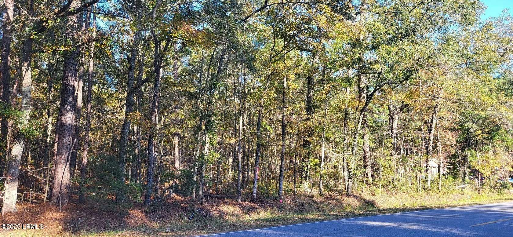 0.33 Acres of Residential Land for Sale in Hampton, South Carolina
