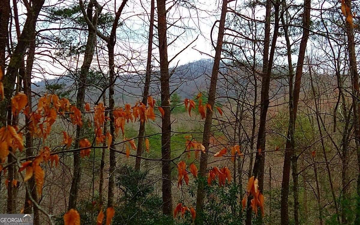 20 Acres of Recreational Land for Sale in Ellijay, Georgia
