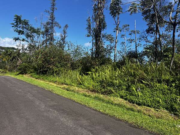 1 Acre of Residential Land for Sale in Keaau, Hawaii