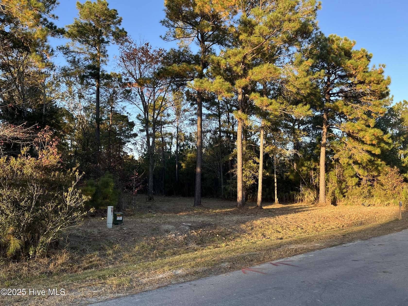 0.46 Acres of Residential Land for Sale in Vandemere, North Carolina