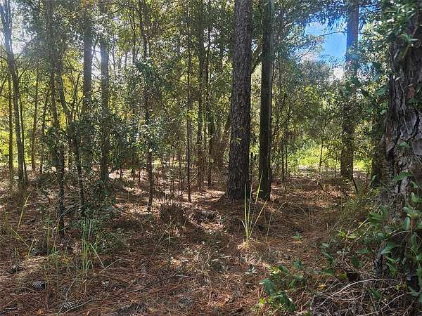 4.62 Acres of Land for Sale in Dunnellon, Florida