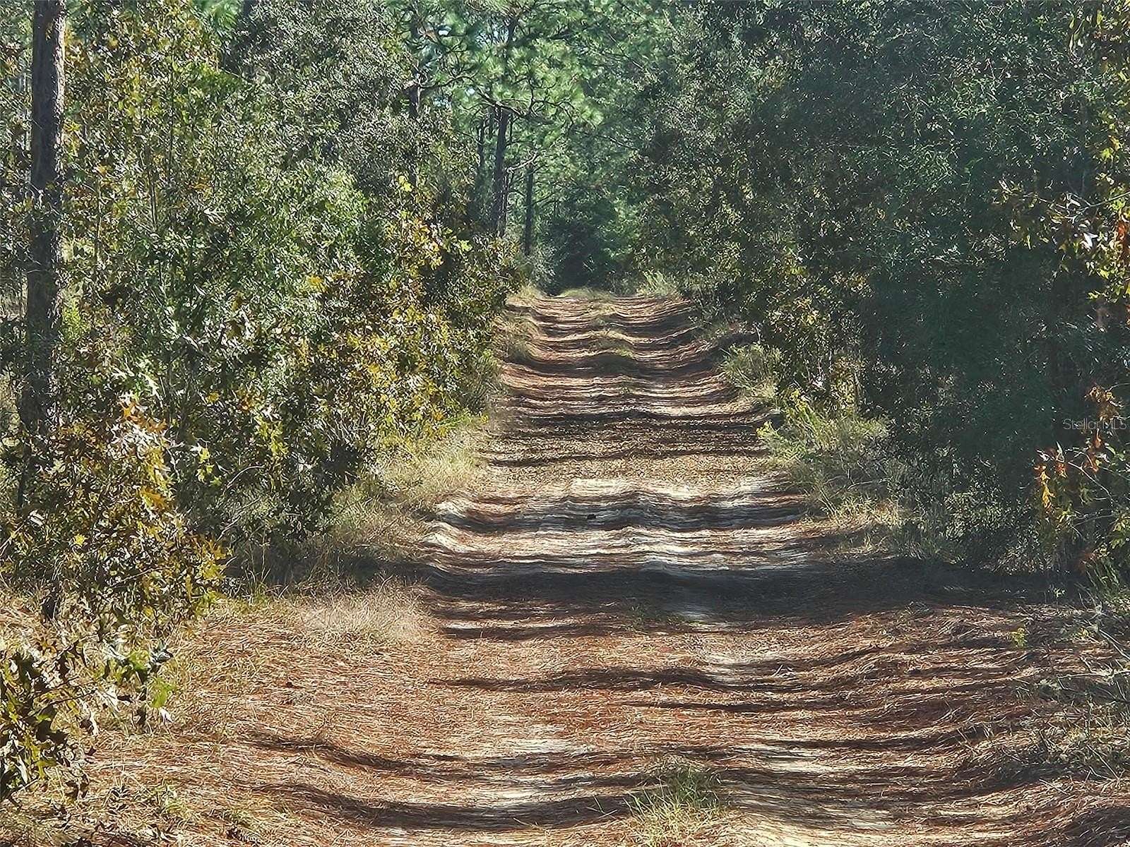 4.62 Acres of Land for Sale in Dunnellon, Florida