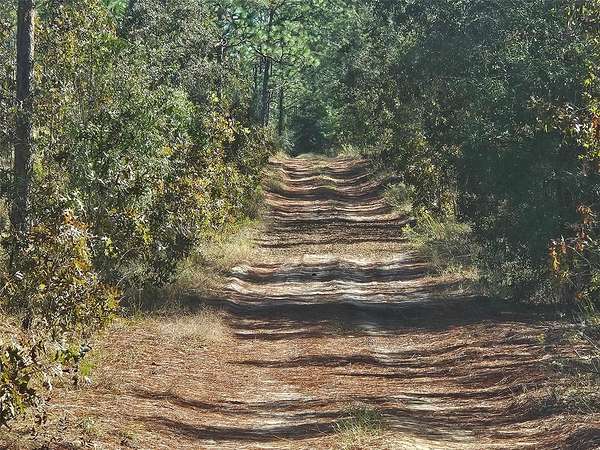 4.62 Acres of Land for Sale in Dunnellon, Florida