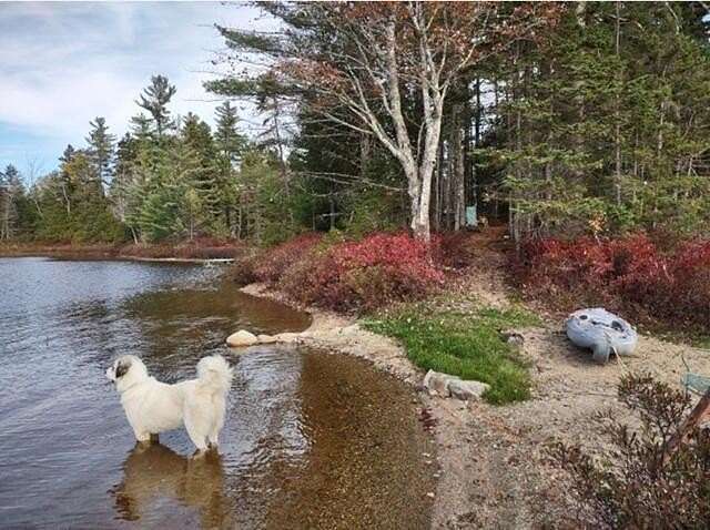 2.18 Acres of Residential Land for Sale in Wesley, Maine