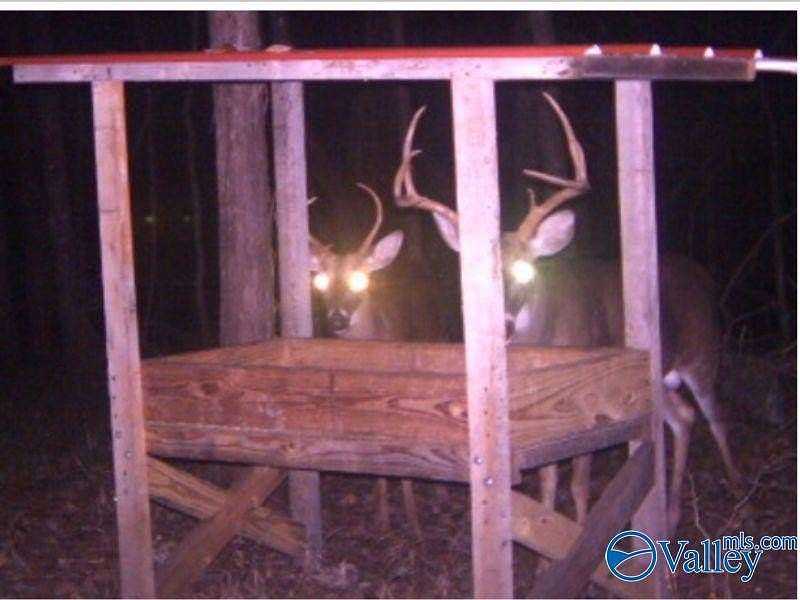 80 Acres of Recreational Land for Sale in New Market, Alabama