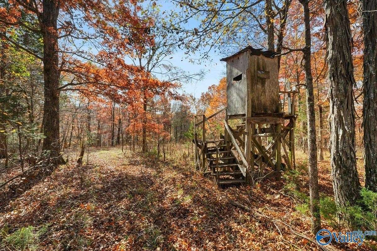 80 Acres of Recreational Land for Sale in New Market, Alabama