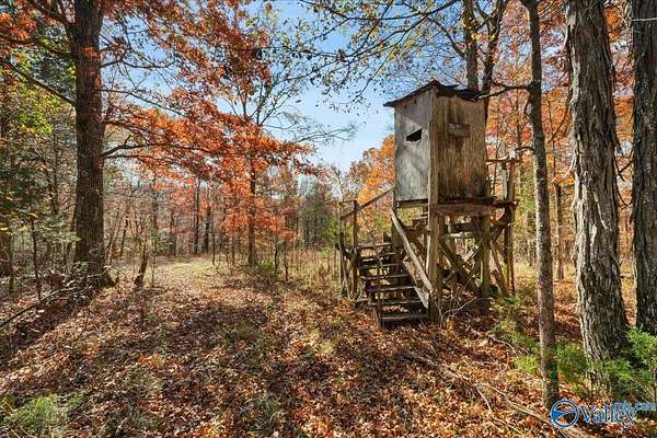 80 Acres of Recreational Land for Sale in New Market, Alabama