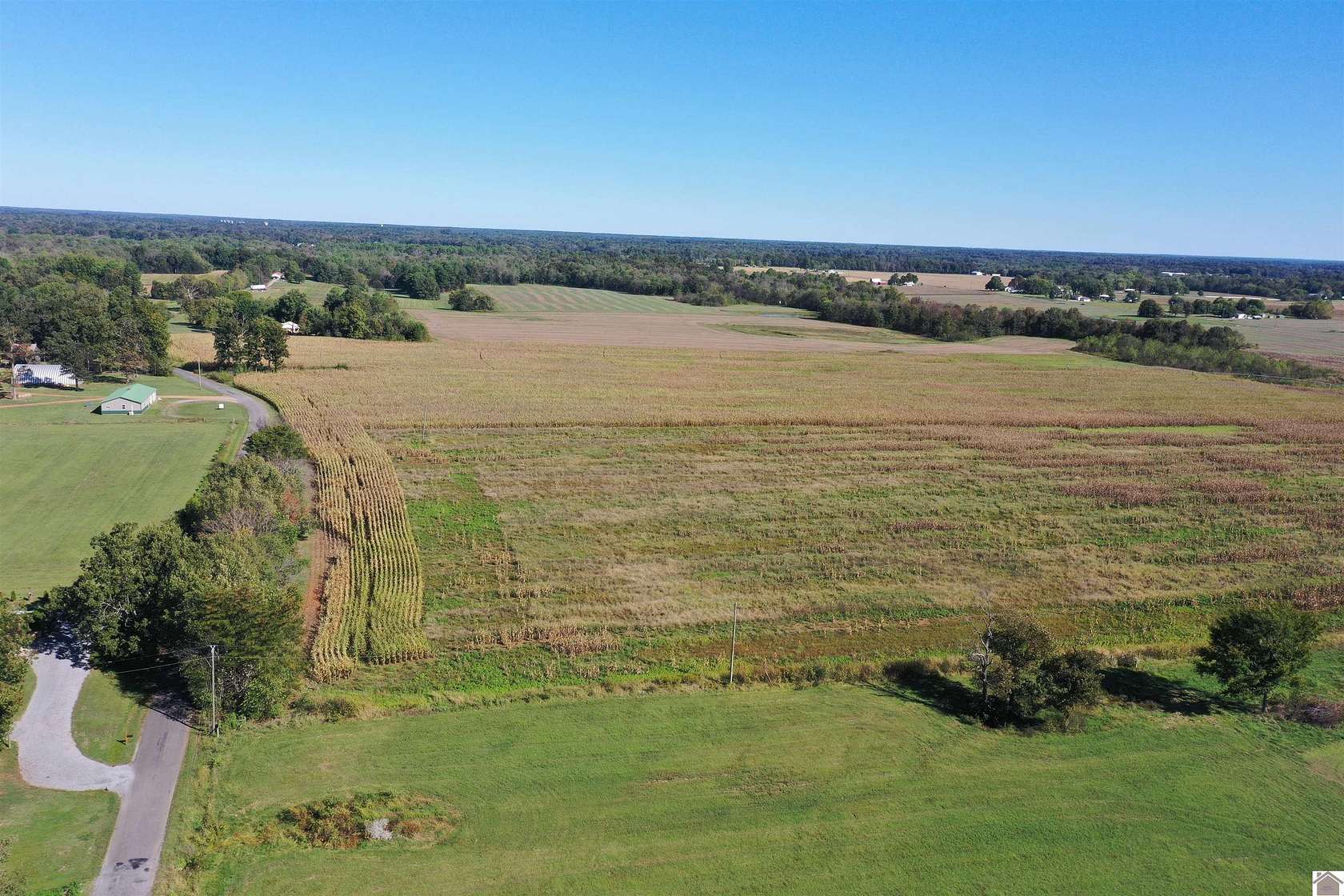 88.8 Acres of Agricultural Land for Auction in Kirksey, Kentucky