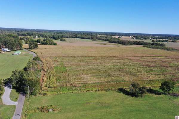 88.8 Acres of Agricultural Land for Auction in Kirksey, Kentucky