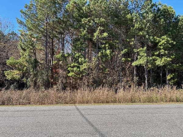 5 Acres of Land for Sale in Unadilla, Georgia