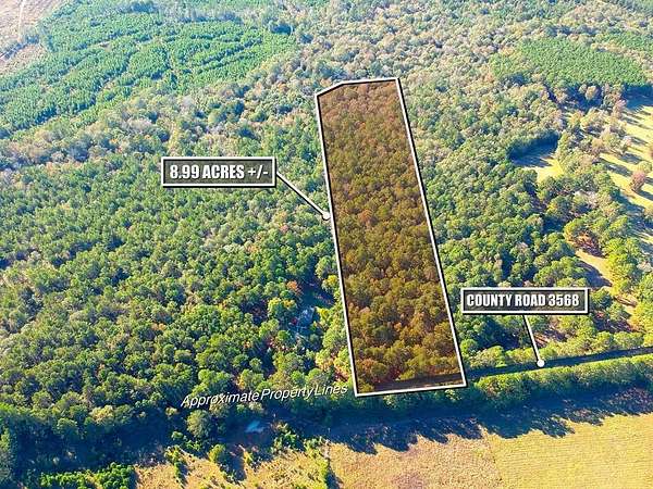 9 Acres of Land for Sale in Woodville, Texas