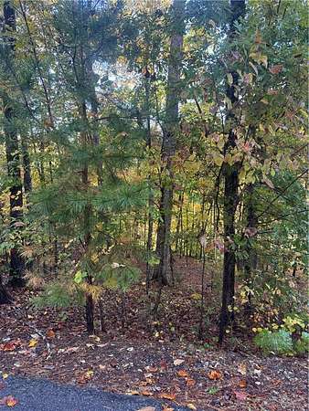 0.37 Acres of Residential Land for Sale in Salem, South Carolina