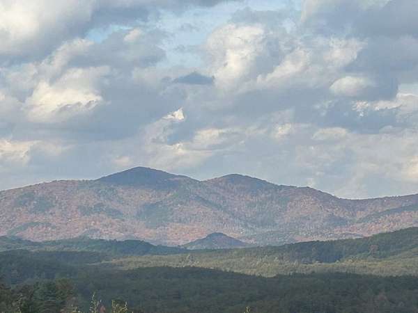 36.8 Acres of Land for Sale in Turtletown, Tennessee