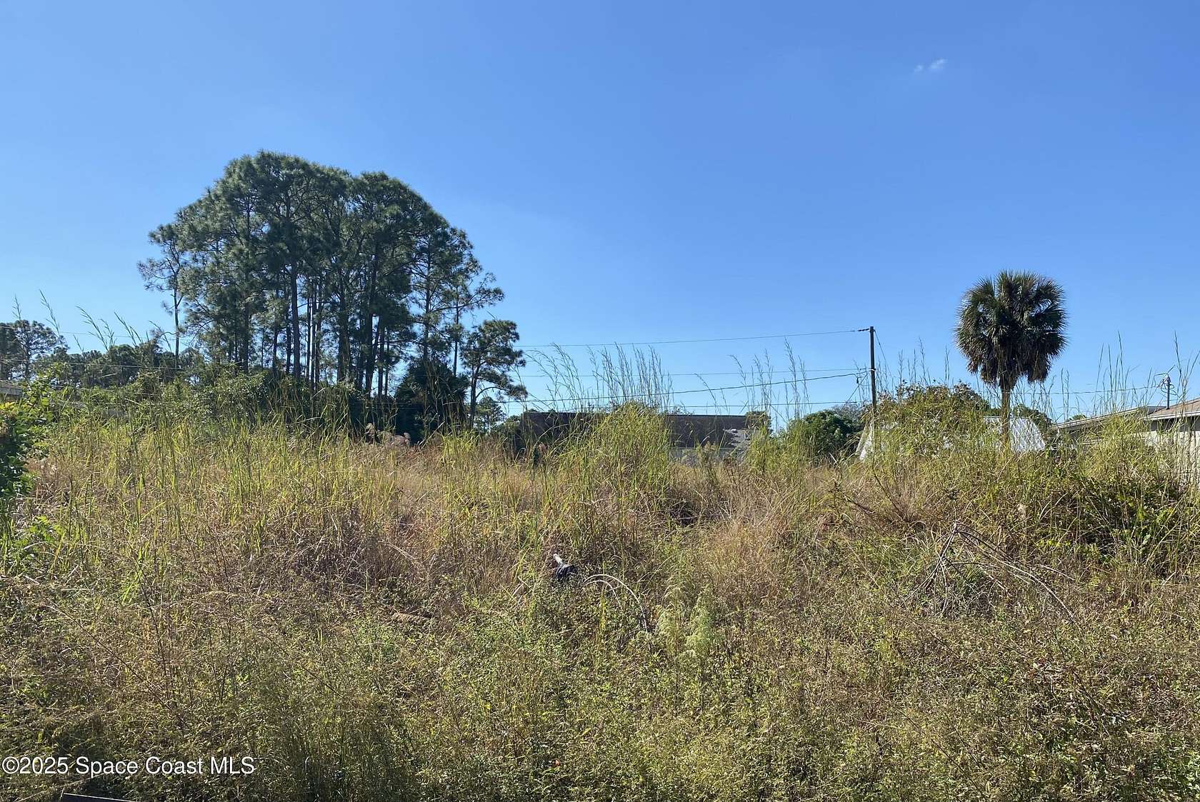 0.23 Acres of Residential Land for Sale in Palm Bay, Florida