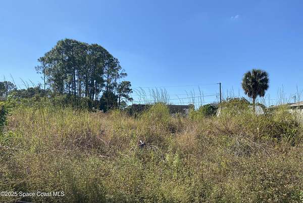 0.23 Acres of Residential Land for Sale in Palm Bay, Florida