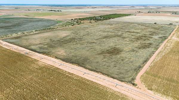 70 Acres of Agricultural Land for Sale in Rochester, Texas