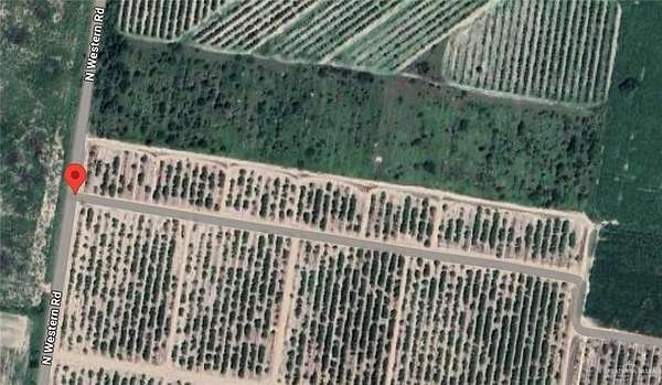 10 Acres of Land for Sale in Edinburg, Texas