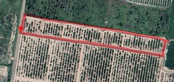 10 Acres of Land for Sale in Edinburg, Texas