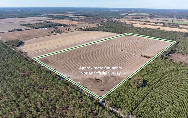 80 Acres of Agricultural Land for Sale in Jennings, Florida