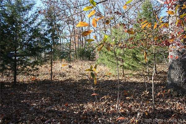 0.32 Acres of Residential Land for Sale in Edwards, Missouri