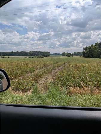 52.6 Acres of Recreational Land for Sale in Brunswick Township, Minnesota