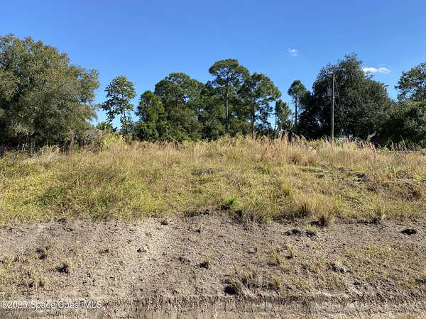 0.24 Acres of Residential Land for Sale in Palm Bay, Florida