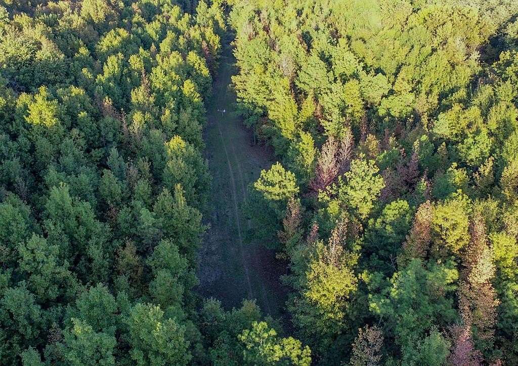40 Acres of Recreational Land for Sale in Marks, Mississippi