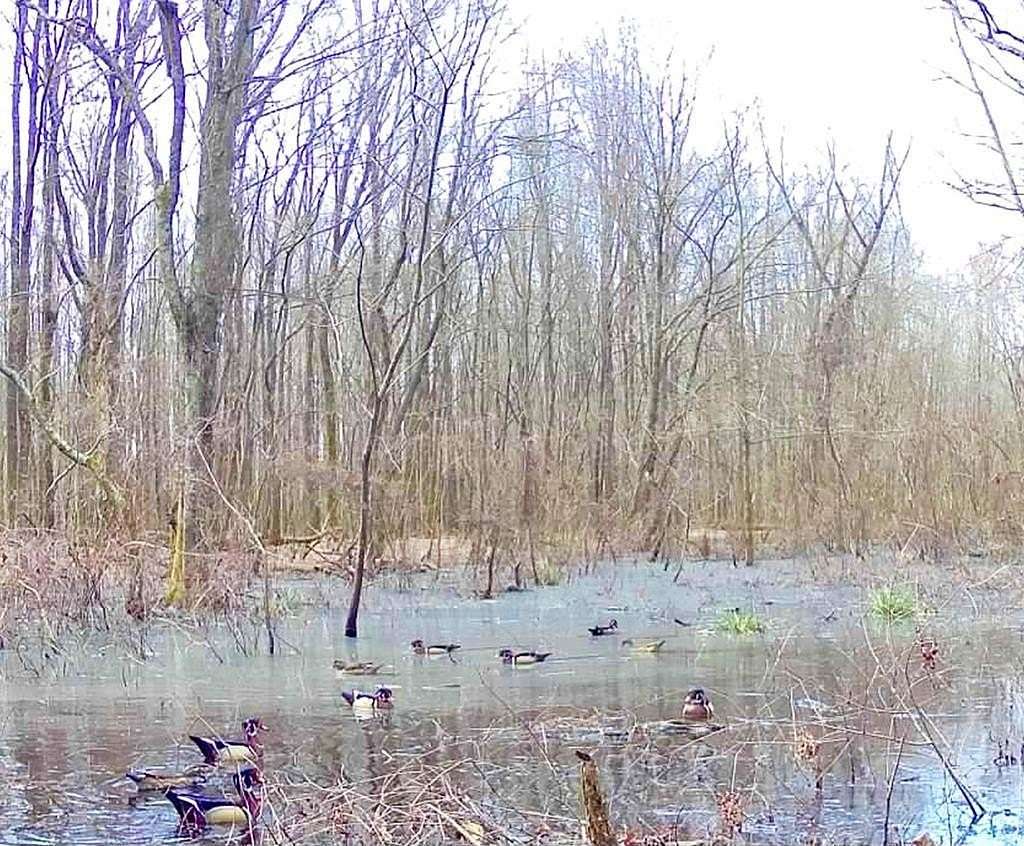 40 Acres of Recreational Land for Sale in Marks, Mississippi