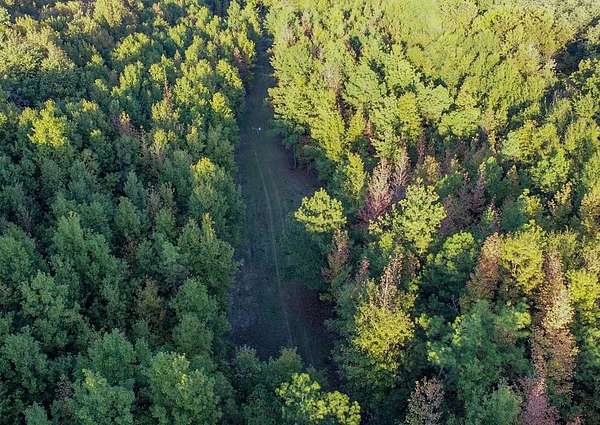40 Acres of Recreational Land for Sale in Marks, Mississippi