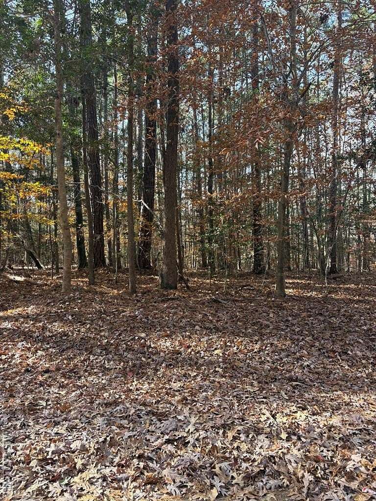 1 Acre of Residential Land for Sale in Bracey, Virginia