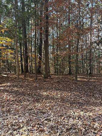 1 Acre of Residential Land for Sale in Bracey, Virginia