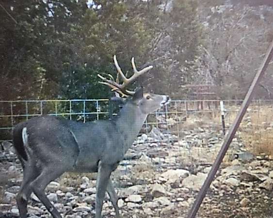 163 Acres of Improved Land for Sale in Carta Valley, Texas