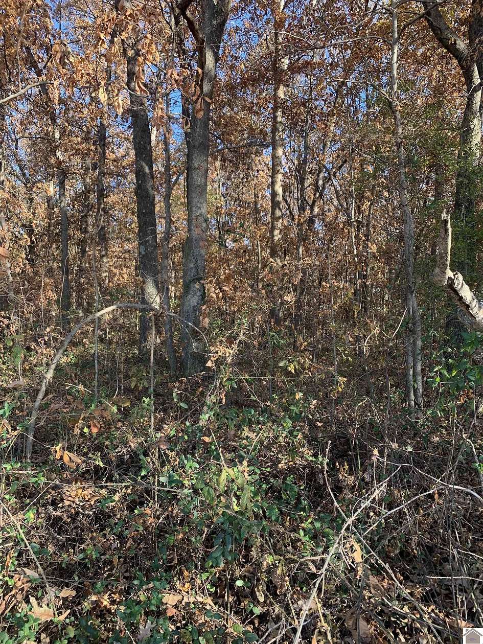 10 Acres of Residential Land for Sale in Kevil, Kentucky