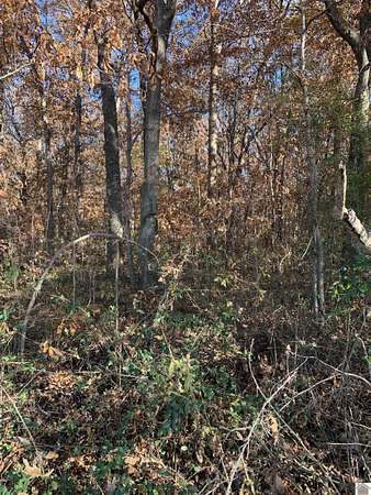 10 Acres of Residential Land for Sale in Kevil, Kentucky