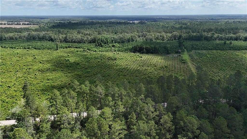 62 Acres of Land for Sale in Odum, Georgia