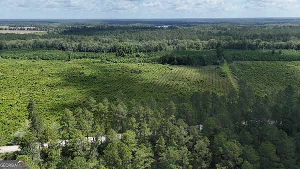 62 Acres of Recreational Land for Sale in Odum, Georgia