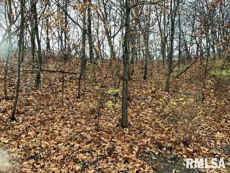 27.6 Acres of Land for Sale in Chillicothe, Illinois
