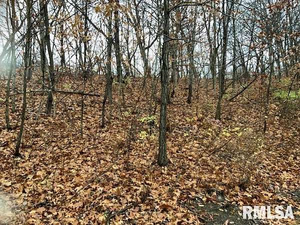 27.6 Acres of Land for Sale in Chillicothe, Illinois