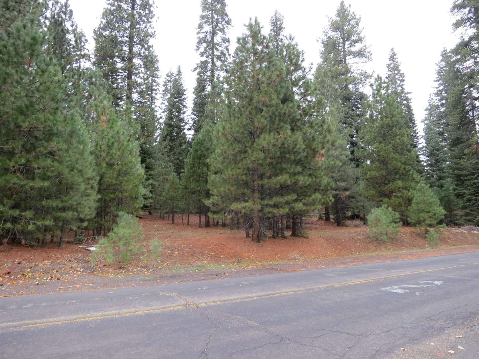 0.95 Acres of Land for Sale in Chester, California