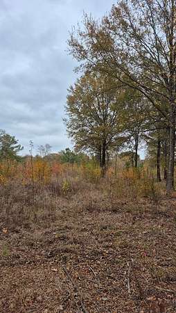 158 Acres of Recreational Land & Farm for Sale in Detroit, Texas
