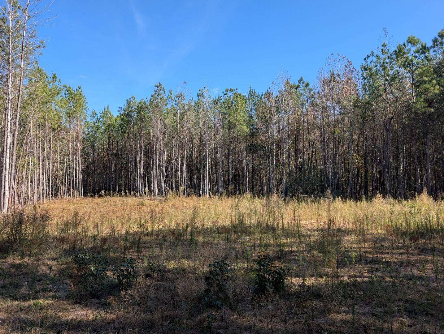 14 Acres of Recreational Land & Farm for Sale in Greensboro, Alabama