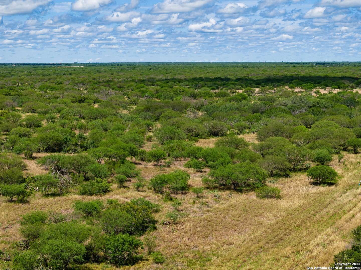 94.7 Acres of Recreational Land for Sale in Alice, Texas
