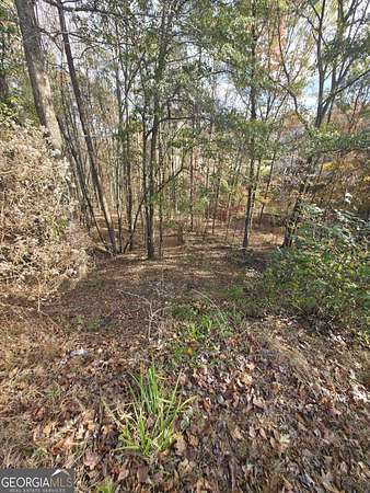 0.56 Acres of Residential Land for Sale in Bethlehem, Georgia