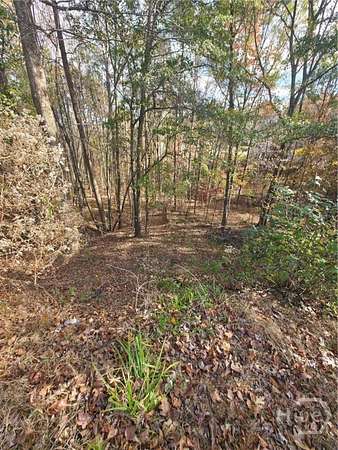 0.56 Acres of Residential Land for Sale in Bethlehem, Georgia