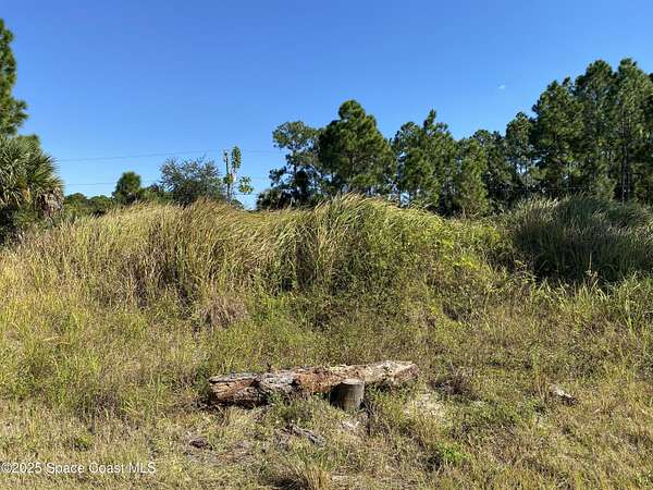 0.23 Acres of Residential Land for Sale in Palm Bay, Florida