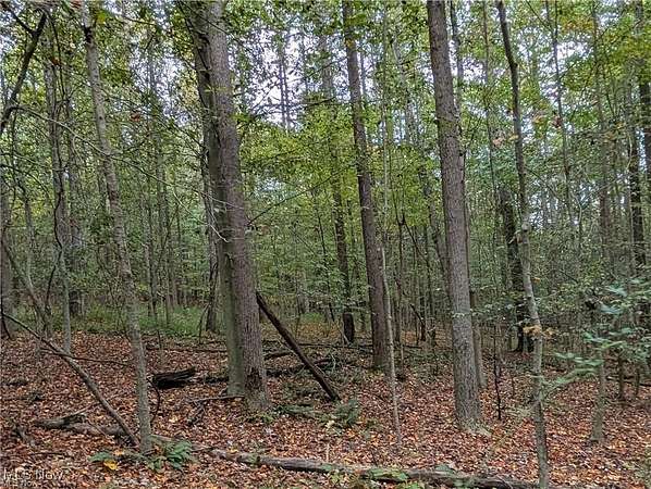 44 Acres of Land for Sale in Warsaw, Ohio