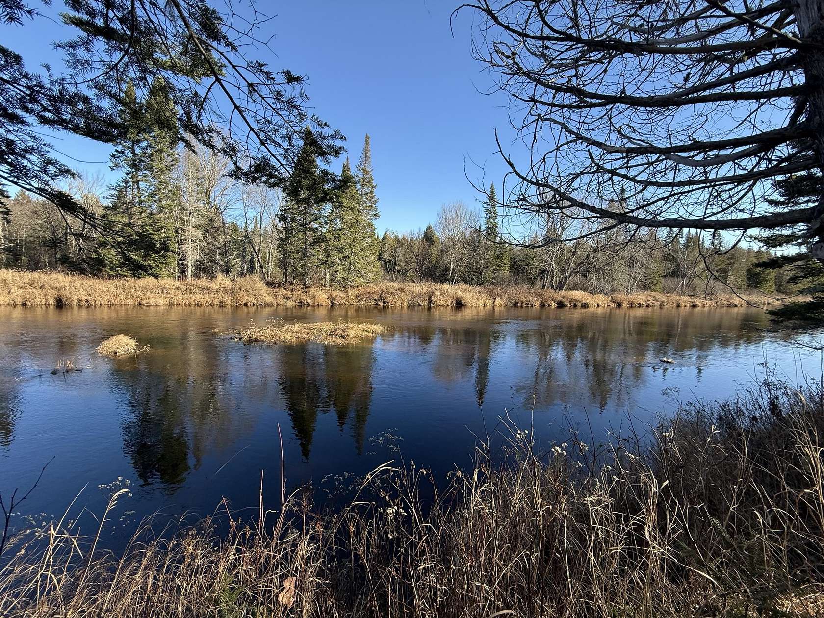 5 Acres of Improved Residential Land for Sale in Haynesville, Maine