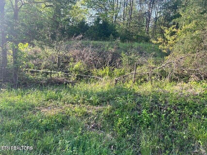 55 Acres of Land for Sale in Sneedville, Tennessee